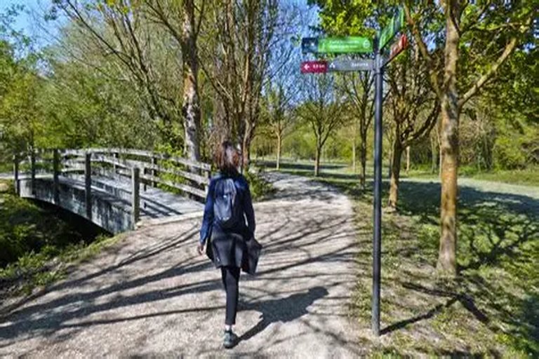 Valencia incrementa zonas verdes con el nuevo “Anillo Verde Norte”